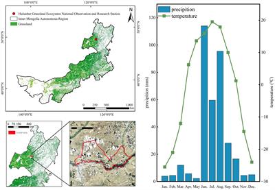 Simulation of the nutritional requirements and energy balance of adult cows in a northern temperate grassland
